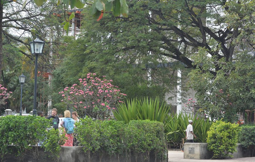 Stone Town Tour