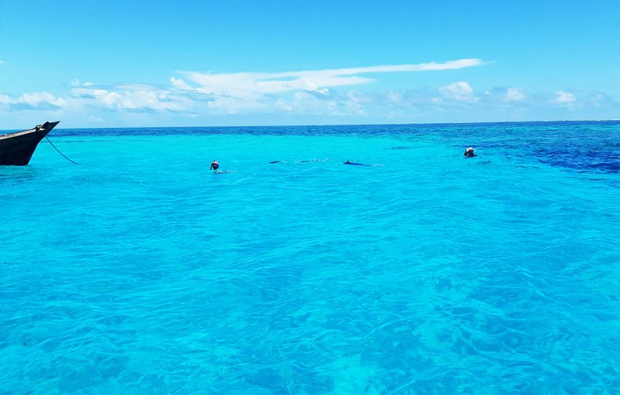 Tumbatu Island Snorkeling