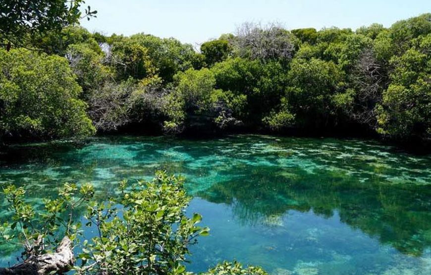 Snorkeling in Mafia Island