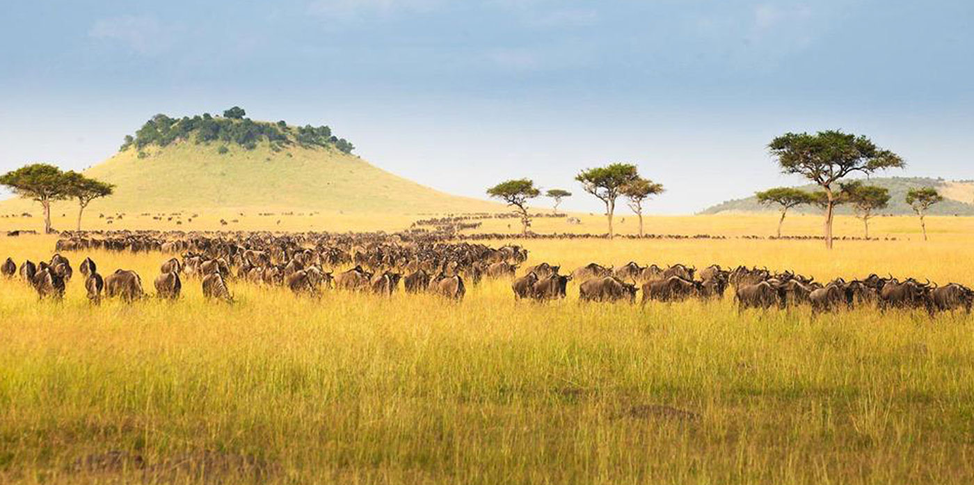 Day 2 – Game Drive Serengeti To Ngorongoro National Park