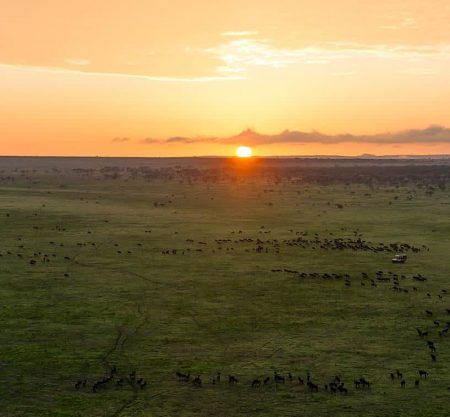3 Days 2 Nights Serengeti
