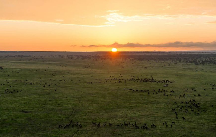 3 Days Serengeti And Ngorongoro
