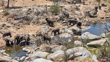 Best National Parks in Tanzania