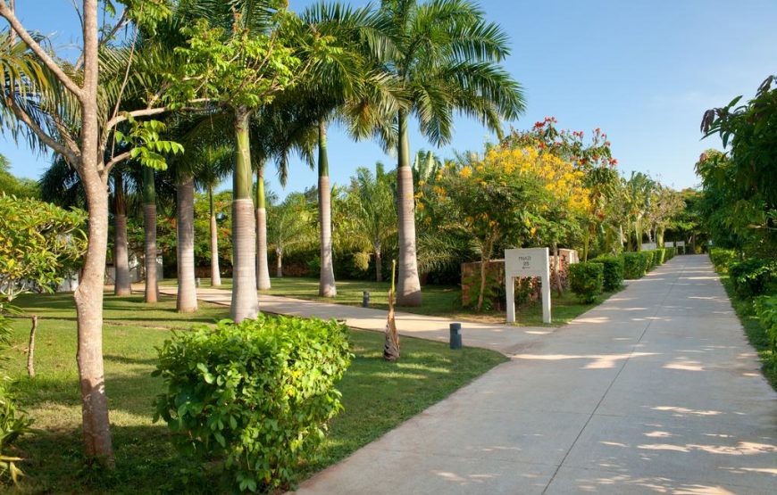 The Level Beach Pavillion