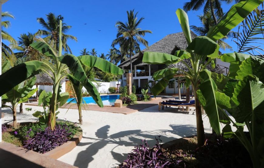 Double Room with Pool View