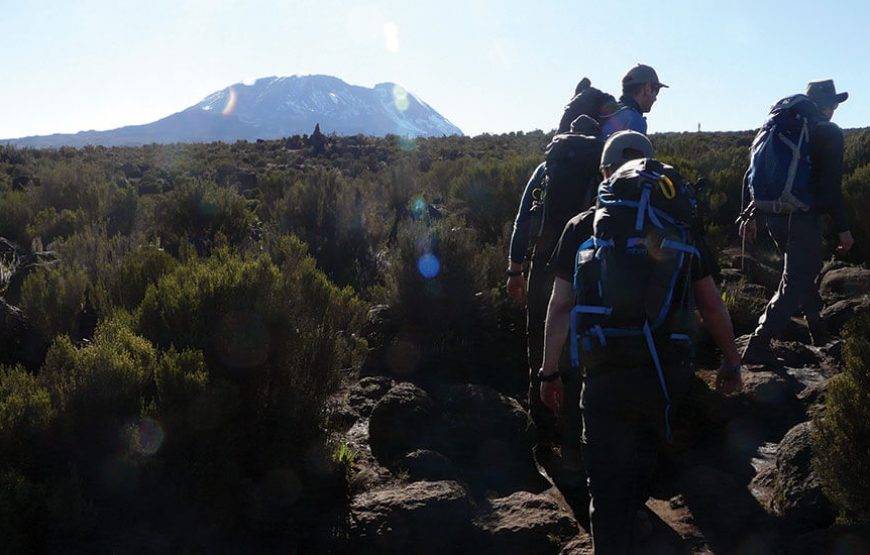 Kilimanjaro Day Trip