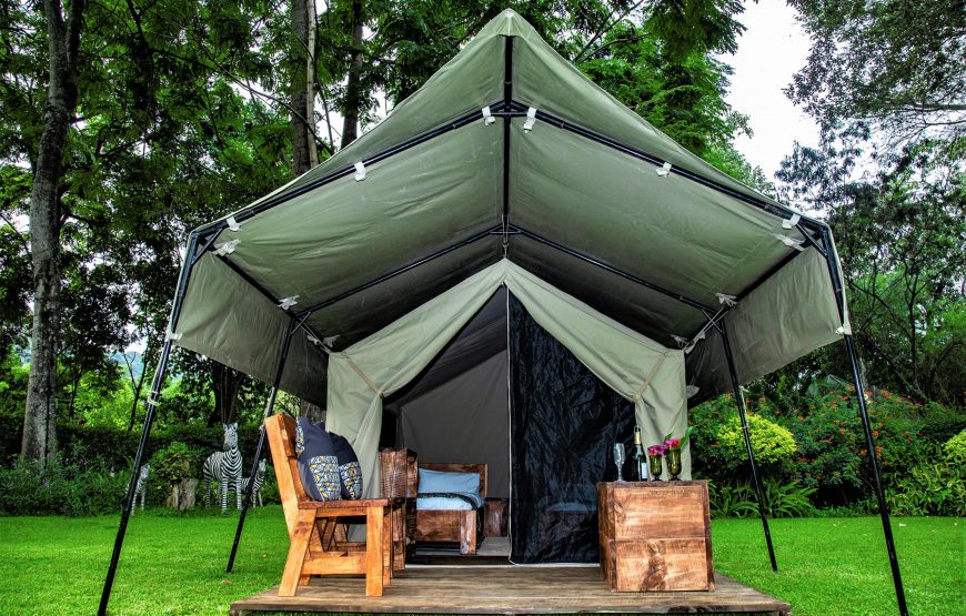 Safari Tent