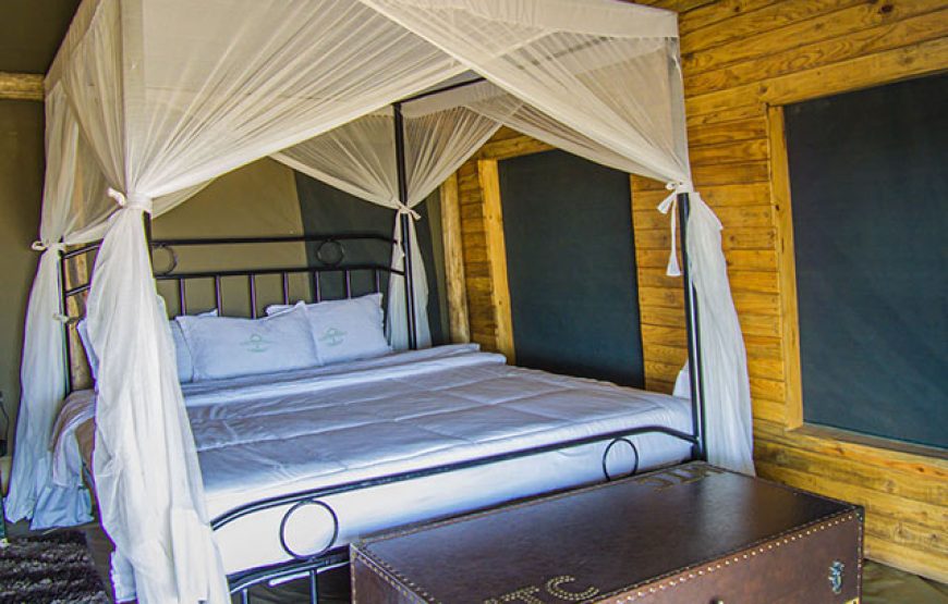 5 Days Tanzania Safari