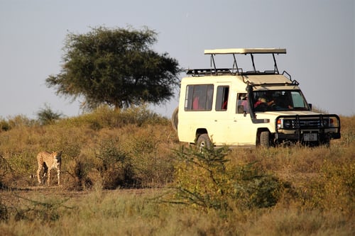 Day 1 Arrive at Serengeti National Park