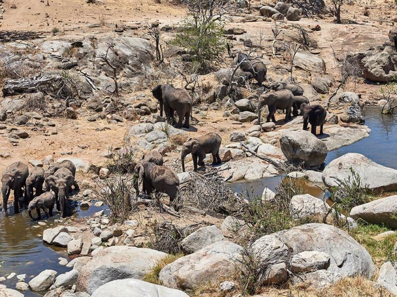 4 Days Serengeti National Park