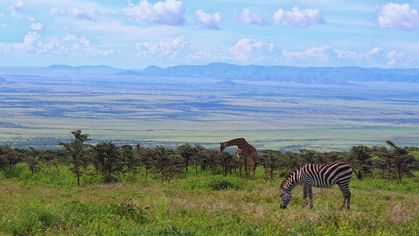 Day 4 Ngorongoro Crater to Arusha