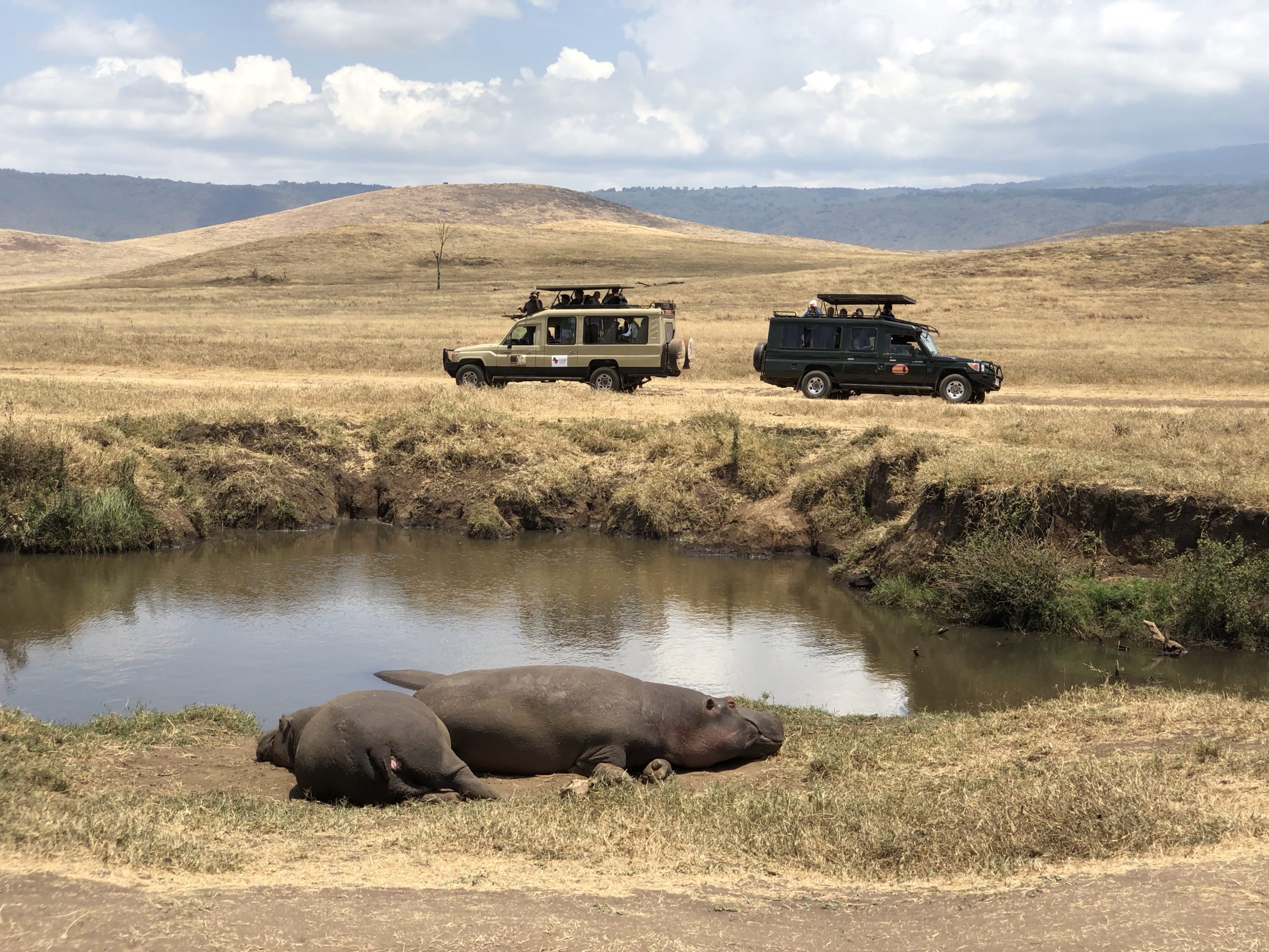 Day 4: Safari from Serengeti to Ngorongoro