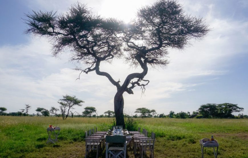 2 Days Serengeti Balloon Safari