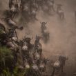 5 Days Serengeti Great Migration Safari