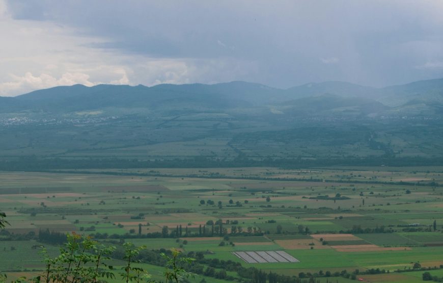 3-Day Safari from Zanzibar to Tarangire, Ngorongoro and Lake Manyara.
