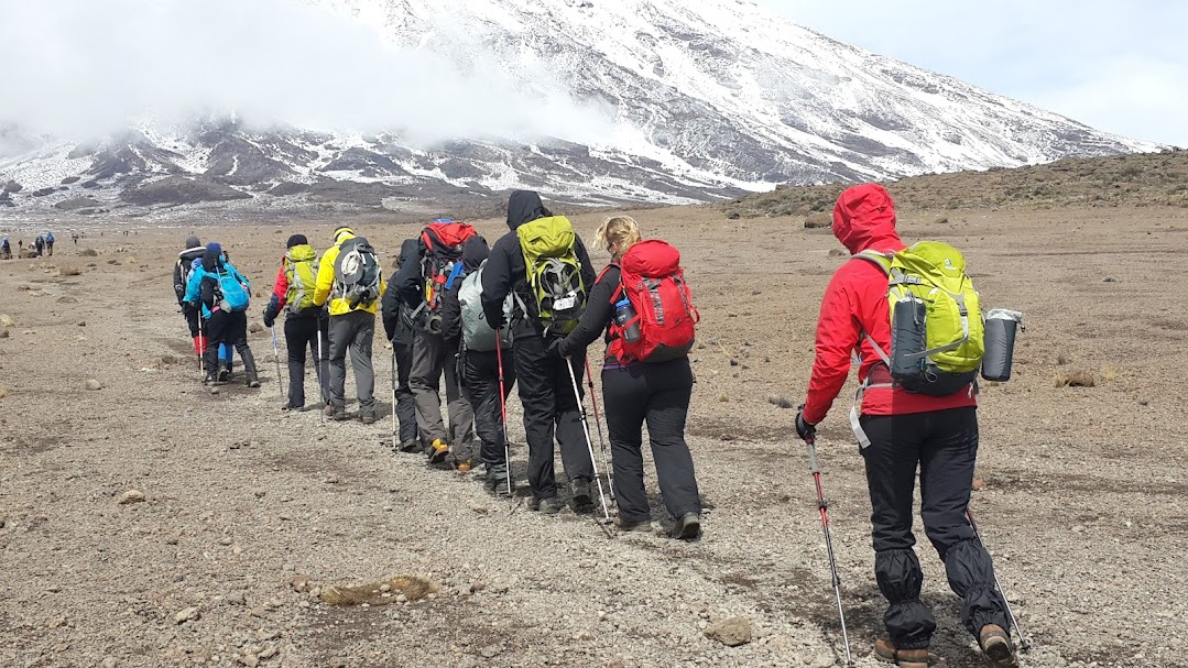 DAY 6: MAWENZI TURN TO KIBO HUT (FULL BOARD).