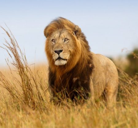 6 Days Family Safari Itinerary