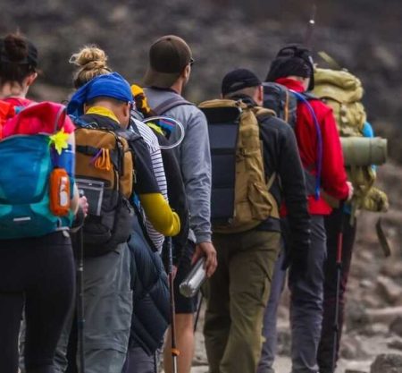8 Days Lemosho Route-Kilimanjaro Trekking Itinerary