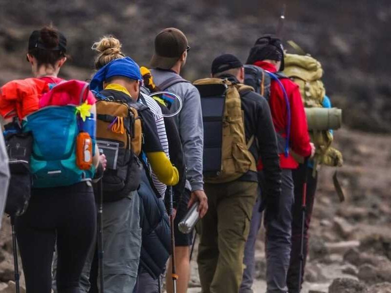8 Days Lemosho Route-Kilimanjaro Trekking Itinerary