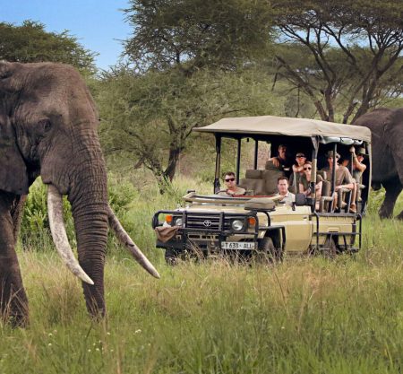 5 Days Tanzania Private Tented Camps Safari