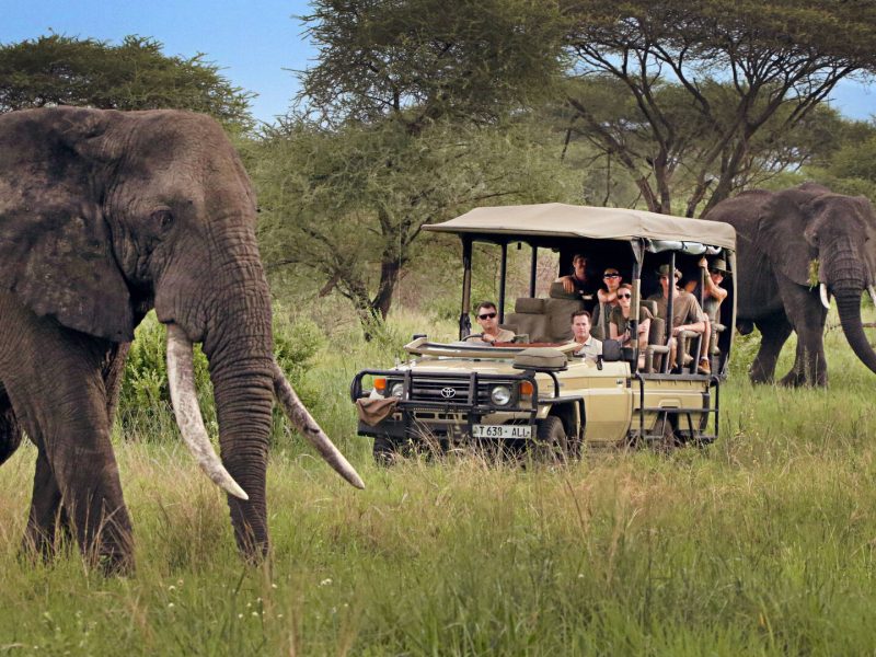 5 Days Tanzania Private Tented Camps Safari