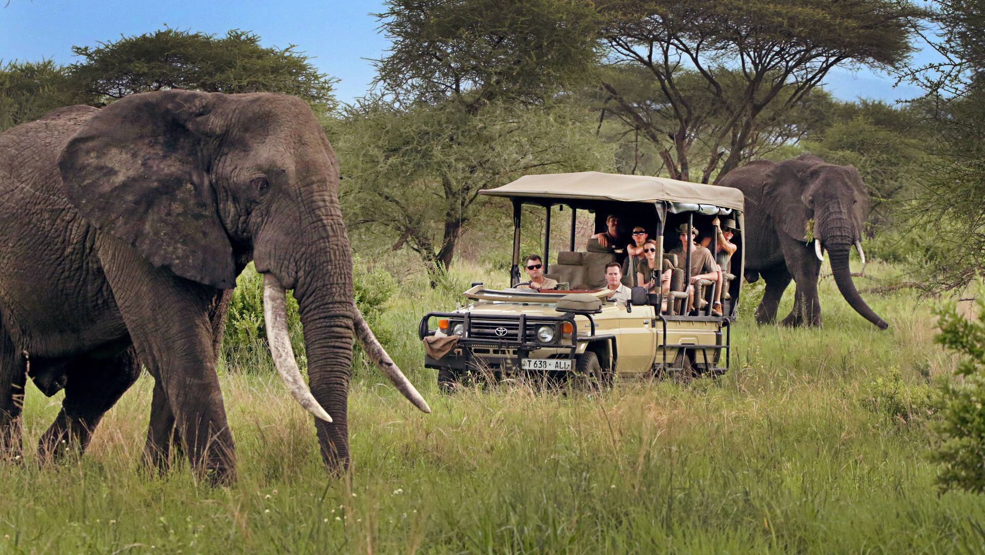 DAY 2: GAME IN SERENGETI NATIONAL PARK.
