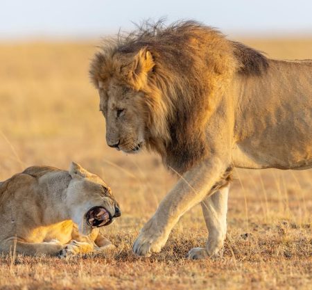 5 Day Tanzania Budget Camping Safari