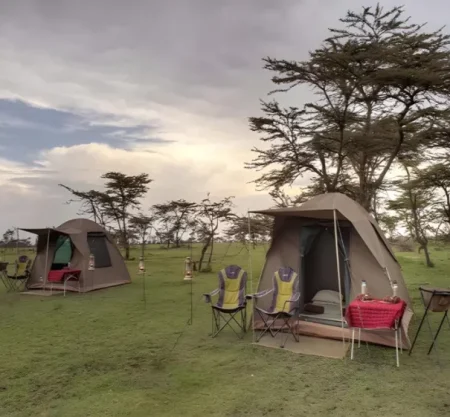 2 Days Tanzania Camping Safari