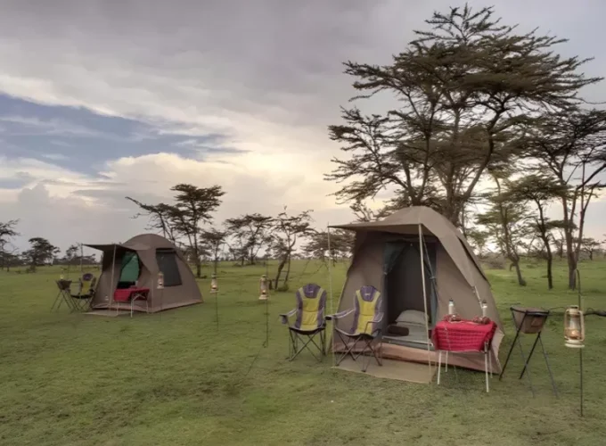 2 Days Tanzania Camping Safari
