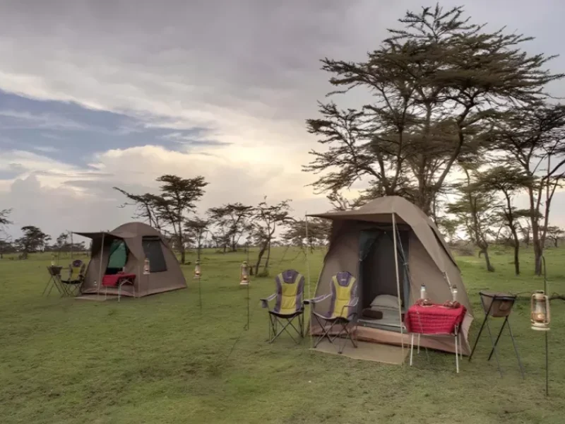 2 Days Tanzania Camping Safari