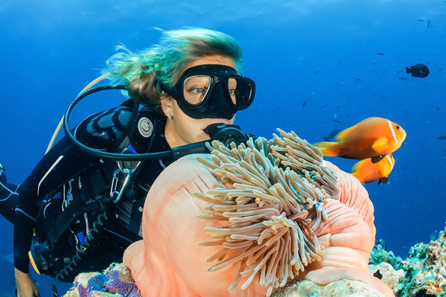 Zanzibar Diving Holiday