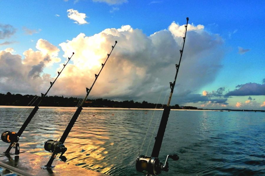 Go fishing